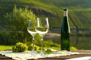 two glasses of riesling wine, produced in Mosel wine region