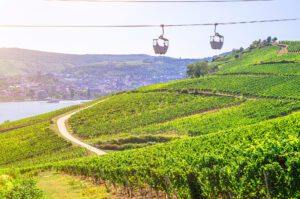 Cable car on rope of cableway over terraced vineyards in in Ruedesheim, Germany